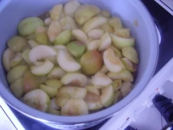 Apfelmus - Rezept - Bild Nr. 5