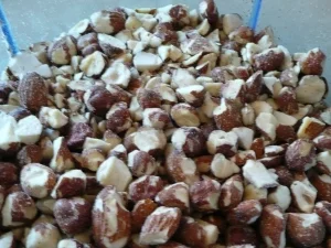 Cantuccini auf Biggis Art - Rezept - Bild Nr. 3