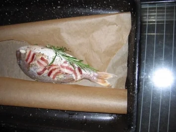 Dorade aus dem Backofen - Rezept - Bild Nr. 3
