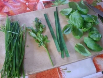 Zucchini-Suppe - Rezept - Bild Nr. 3