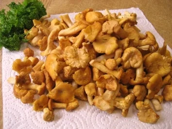 Pfifferlinge in Sahnesoße mit Tagliatelle - Rezept - Bild Nr. 2