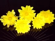 Sonstiges  Das 200ste Rezept ! Kostbar ! Ringelblumen-Safran - Rezept