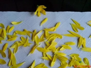 Sonstiges  Das 200ste Rezept ! Kostbar ! Ringelblumen-Safran - Rezept - Bild Nr. 2