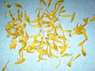 Sonstiges  Das 200ste Rezept ! Kostbar ! Ringelblumen-Safran - Rezept - Bild Nr. 3