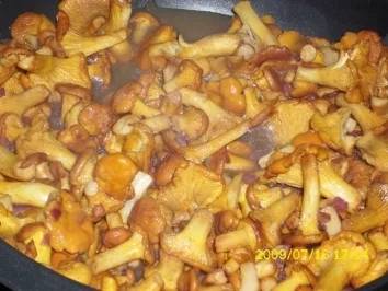 Pasta:  Pfifferlingsragout mit Tagliatelle - Rezept - Bild Nr. 2
