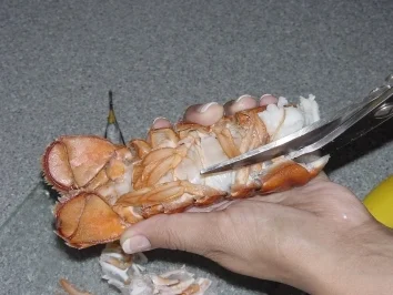 Surfen am Balkon! - Rezept - Bild Nr. 4