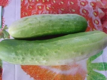 Kartoffelpüree mit Schmorgurken - Rezept - Bild Nr. 3