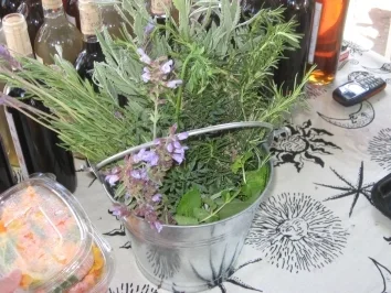 Rezept: Sommer-Portulak-Salat à la Witchy Sommer-Portulak-Salat à la Witchy - Rezept