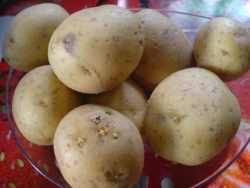 Stacheldraht - Grüne Bohnen Eintopf - Rezept - Bild Nr. 13