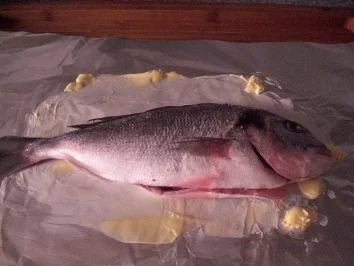 Rezept: Dorade-royal mediterran Bild Nr. 4 Dorade-royal mediterran - Rezept - Bild Nr. 4