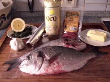 Dorade royal mediterran - einfach - 108 kcal/100g