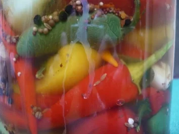 Rezept: Chilis und Paprikaschoten - Selbst eingelegt Bild Nr. 3 Chilis und Paprikaschoten - Selbst eingelegt - Rezept - Bild Nr. 3