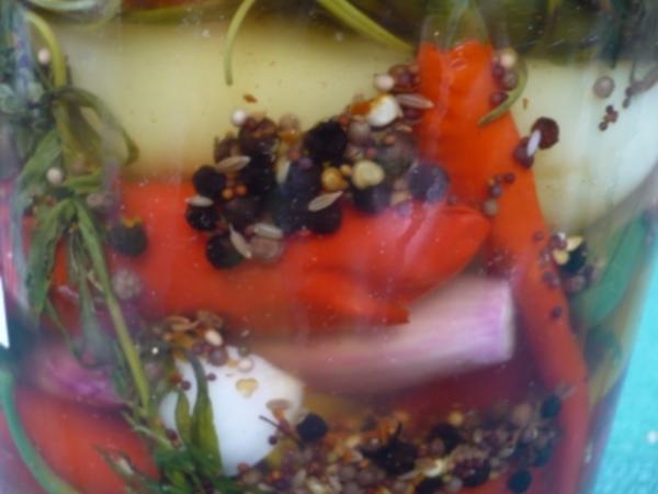 Chilis und Paprikaschoten Selbst eingelegt - schnell &amp; einfach - 27 ...
