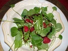 Salat Portulak mit Himbeeren - Rezept