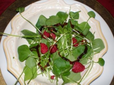 Salat Portulak mit Himbeeren - Rezept