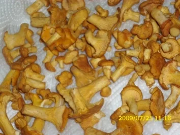 Fleisch:  Schweinelendchen bei 80 Grad mit Pfifferlingen - Rezept - Bild Nr. 2