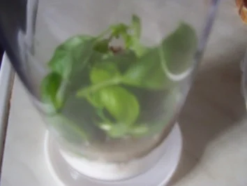 Salat mit neuer Dressingvariante - Rezept - Bild Nr. 2