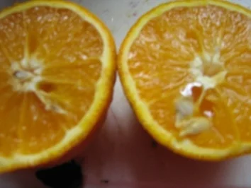 Zwetschgen auf Klassiker - Rezept - Bild Nr. 6