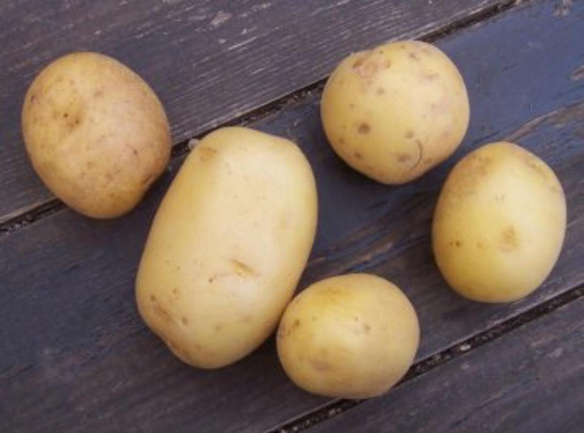 Kartoffelgratin tres bien - Rezept