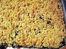 Mohnkuchen mit Zimtstreusel - Rezept