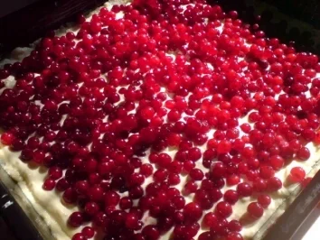 Johannisbeerkuchen mit Fruchtcreme - Rezept - Bild Nr. 7