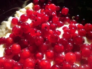 Johannisbeerkuchen mit Fruchtcreme - Rezept - Bild Nr. 8