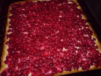 Johannisbeerkuchen mit Fruchtcreme - Rezept - Bild Nr. 9