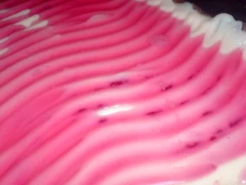 Johannisbeerkuchen mit Fruchtcreme - Rezept - Bild Nr. 20