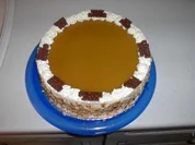 Aprikosen - Joghurt - Torte - Rezept