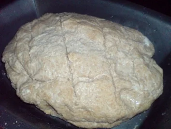 Rezept: Joghurt-Vollkorn-Brot Bild Nr. 11 Joghurt-Vollkorn-Brot - Rezept - Bild Nr. 11