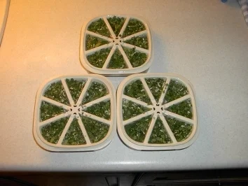 Rezept: Kräutereiswürfel Bild Nr. 2 Kräutereiswürfel - Rezept - Bild Nr. 2