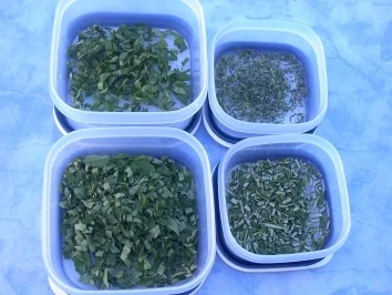 Rezept: Kräutereiswürfel Bild Nr. 3 Kräutereiswürfel - Rezept - Bild Nr. 3