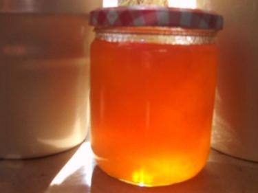 Orangen-Prosecco-Aperol-Gelee - Rezept mit Bild - kochbar.de