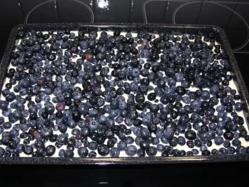 Rezept: Blech: Blaubeer-Hefe-Schmandkuchen mit Streuseln Bild Nr. 3 Blech: Blaubeer-Hefe-Schmandkuchen mit Streuseln - Rezept - Bild Nr. 3