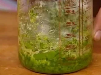 Rezept: Haselnuss-Petersilien-Pesto Haselnuss-Petersilien-Pesto - Rezept