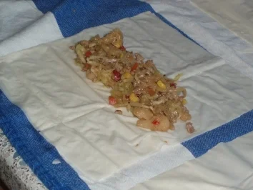 Frühlingsrollen - Rezept - Bild Nr. 3