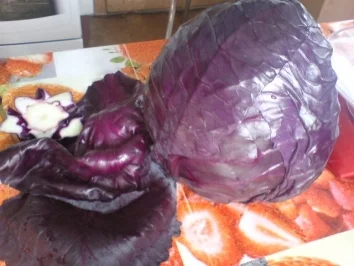 Rotkrautfrischkost - Rezept - Bild Nr. 3