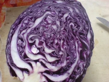 Rotkrautfrischkost - Rezept - Bild Nr. 4