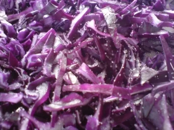 Rotkrautfrischkost - Rezept - Bild Nr. 6