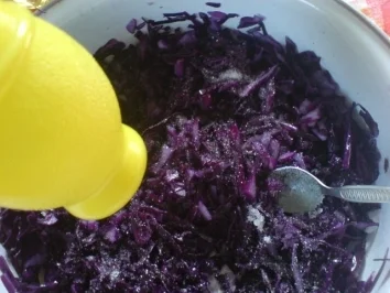 Rotkrautfrischkost - Rezept - Bild Nr. 9