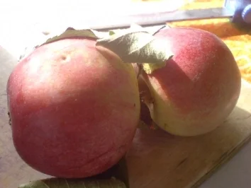 Rotkrautfrischkost - Rezept - Bild Nr. 10