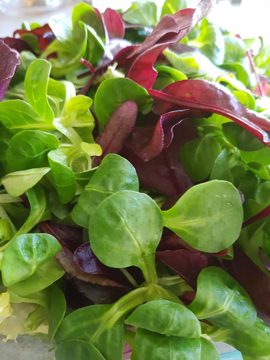 Feldsalat mit Putenstreifen - Rezept - Bild Nr. 2