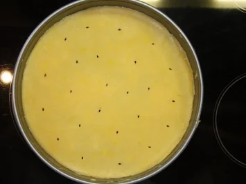 Blaubeeren-Pie - Rezept - Bild Nr. 5