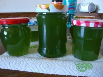 Rezept: Apfelgelee, Apfel-Vanille Gelee Apfelgelee, Apfel-Vanille Gelee - Rezept