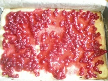 Ribisel Taler mit Schneehäubchen - Rezept - Bild Nr. 3