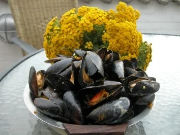 Miesmuschel - Rezept