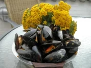 Miesmuschel - Rezept