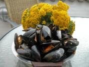 Miesmuschel - Rezept