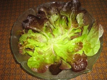 Kunterbunter Apfel-Fenchelsalat - Rezept - Bild Nr. 7