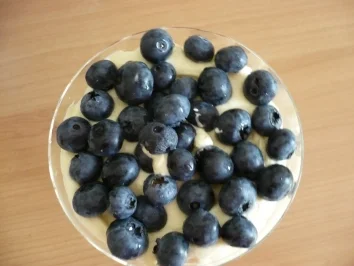 Rezept: Heidelbeeren auf Vanille - Sahnecreme Bild Nr. 3 Heidelbeeren auf Vanille - Sahnecreme - Rezept - Bild Nr. 3